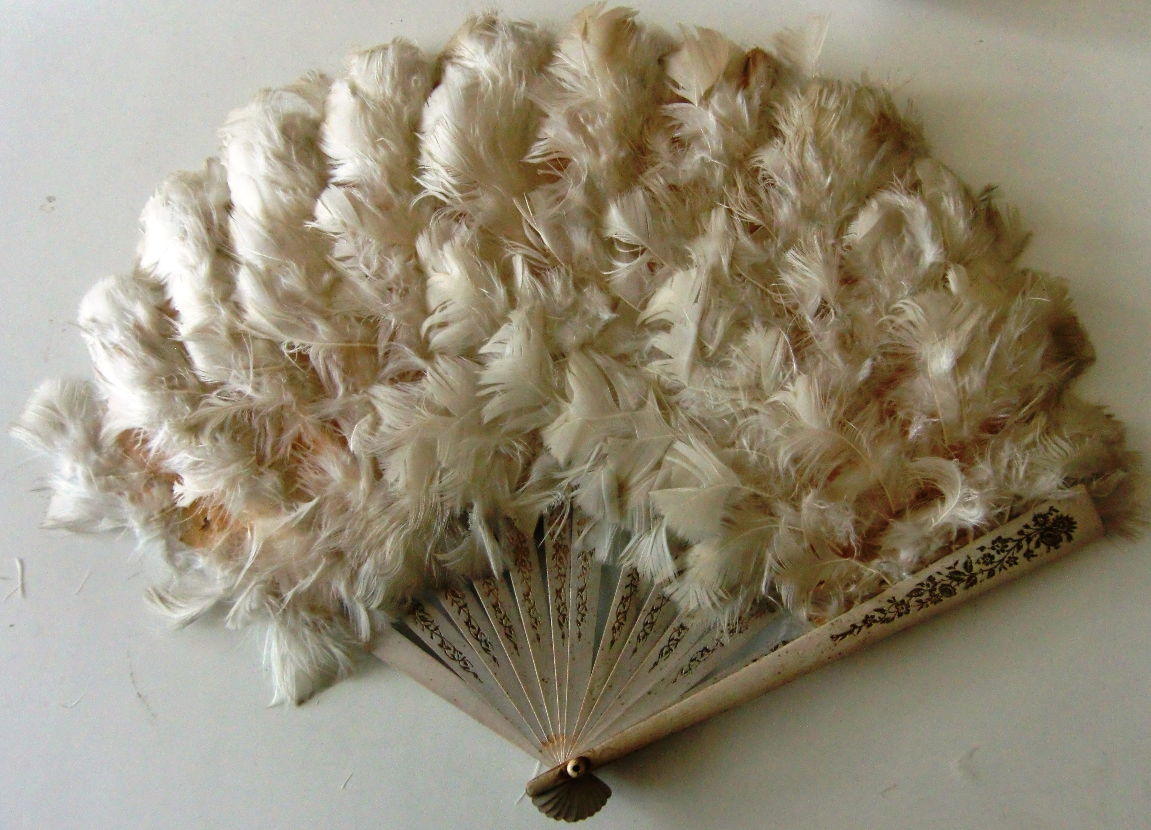 M43M Ostrich Feather Fan